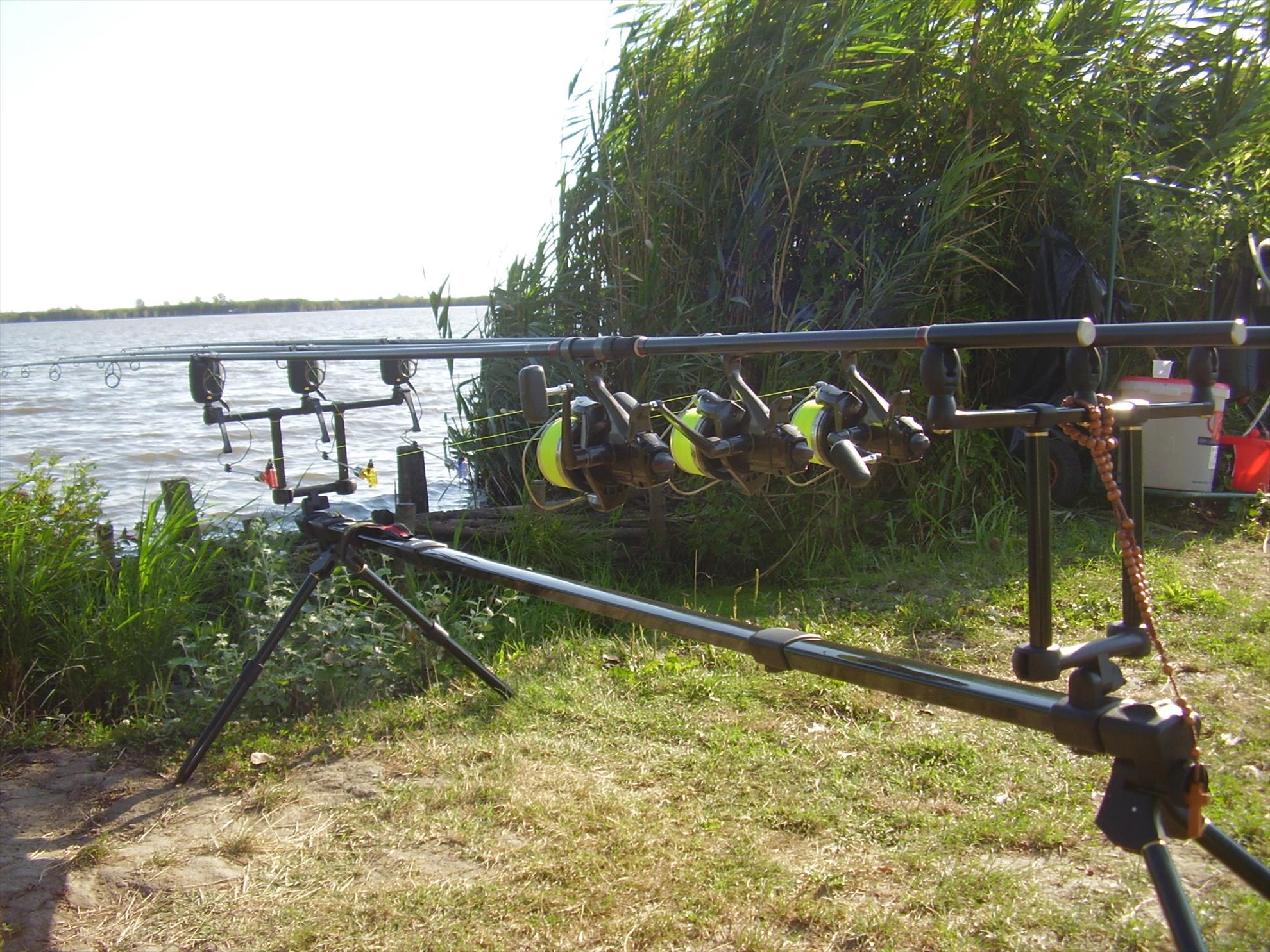 Alejandro Carp Team - Ohat Ungaria 2013 - p5070022.JPG